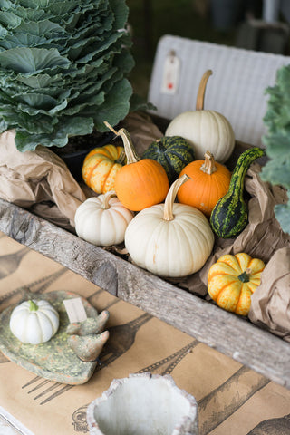 Saturday Fall Barn Edit