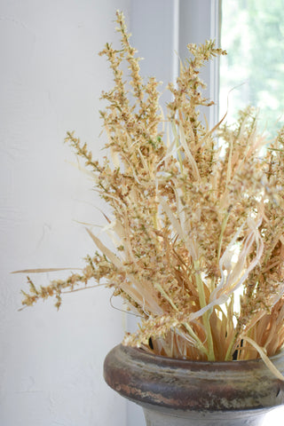 Dried Grass Spray