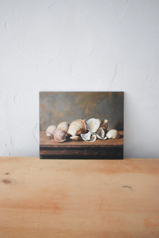 8 x 10 Shell Artist Board